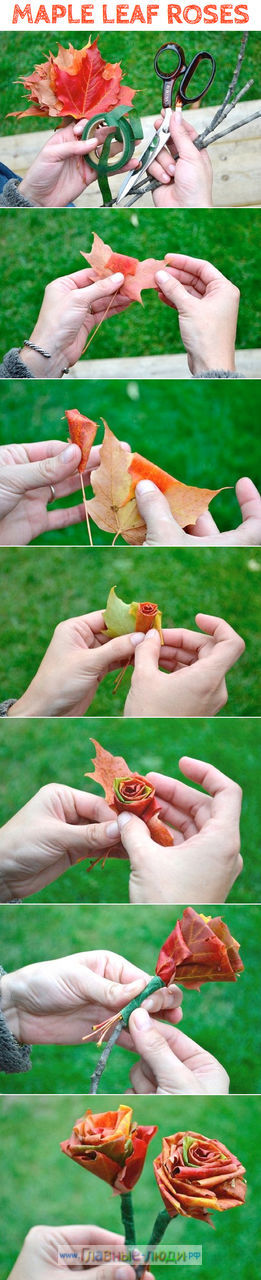 Как сделать розы из листьев, сделать розы из листьев пошагово, идеи простых детских поделок (3)