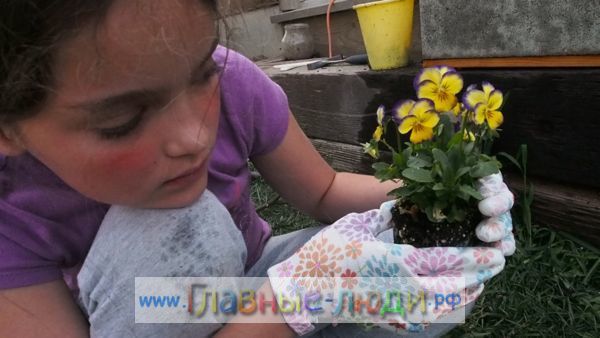 Мини сад из яичной скорлупы, Идеи для  детских поделок,  Легкие детские поделки идеи, Детские поделки из яичной скорлупы (2)